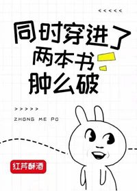 同時穿進了兩本書腫麼破?