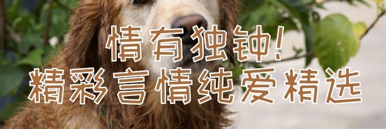 情有独钟！精彩言情纯爱精选